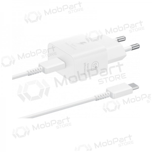 Charger original Samsung EP-T2510XWEGEU 25W + USB-C cable in the package white