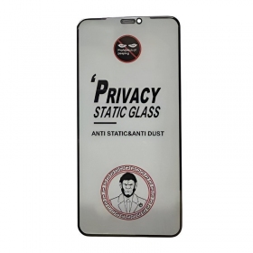 LCD apsauginis stikliukas ESD Anti-Static Privacy Apple iPhone 16 Pro