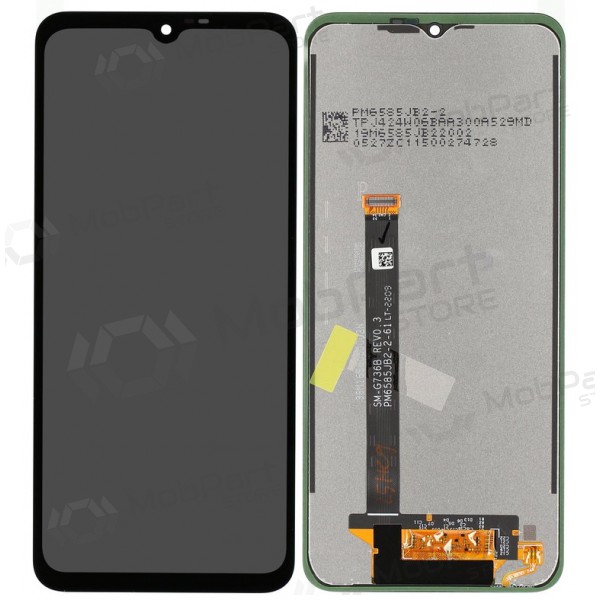 Samsung Galaxy Xcover 6 Pro screen (original)