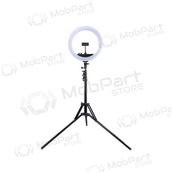 LED žiedinė lamp 34.5cm, su trikoju stovu iki 1.85m, veidrodžiu and telefono laikikliu, USB LED žiedinė lamp 34.5cm, su trikoju stovu iki 1.85m, veidrodžiu and telefono laikikliu, USB