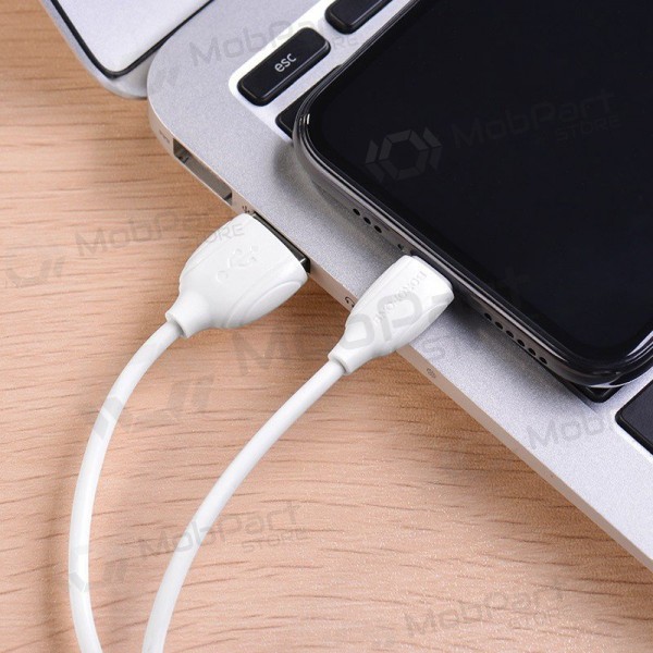 Lightning cable Borofone BX19 USB-A to Lightning 1 m white
