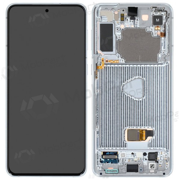 Samsung Galaxy S21+ screen (silver) (with frame) (original)