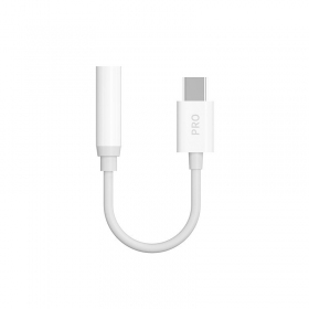 Audio adapter Dudao L16CPro USB-C to 3.5 mm white