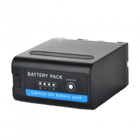 Sony BP-U30 camera battery