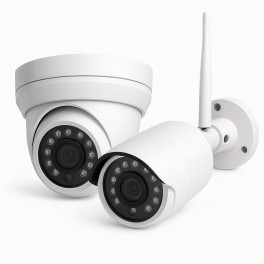 IP Cameras